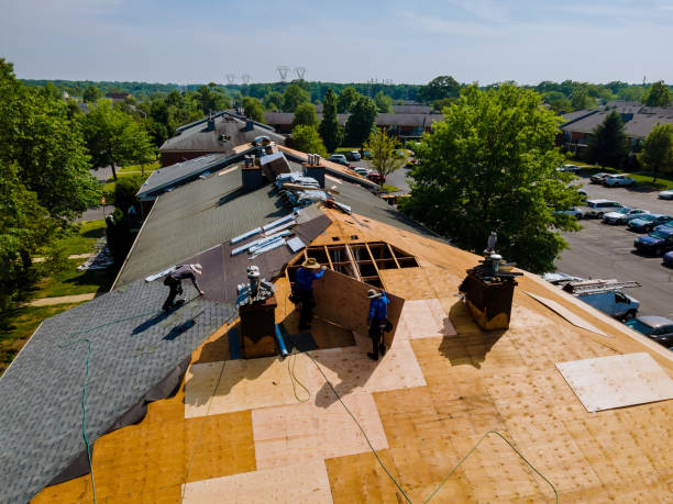 24/7 Emergency Roof Installation experts in Thicket, TX